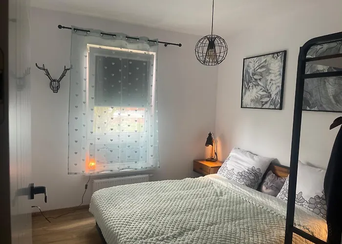 Kawka Na Grobli Wrocław