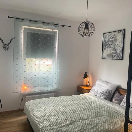 Kawka Na Grobli Breslavia